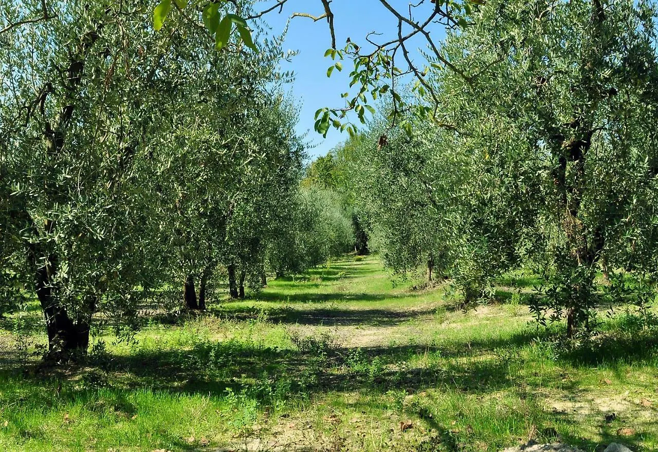 Agriturismo Il Pino - Appartamento Ginepro Gambassi Terme Apartment